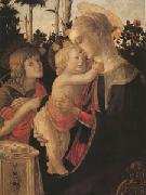 Sandro Botticelli The Virgin and child with John the Baptist (mk05) oil on canvas